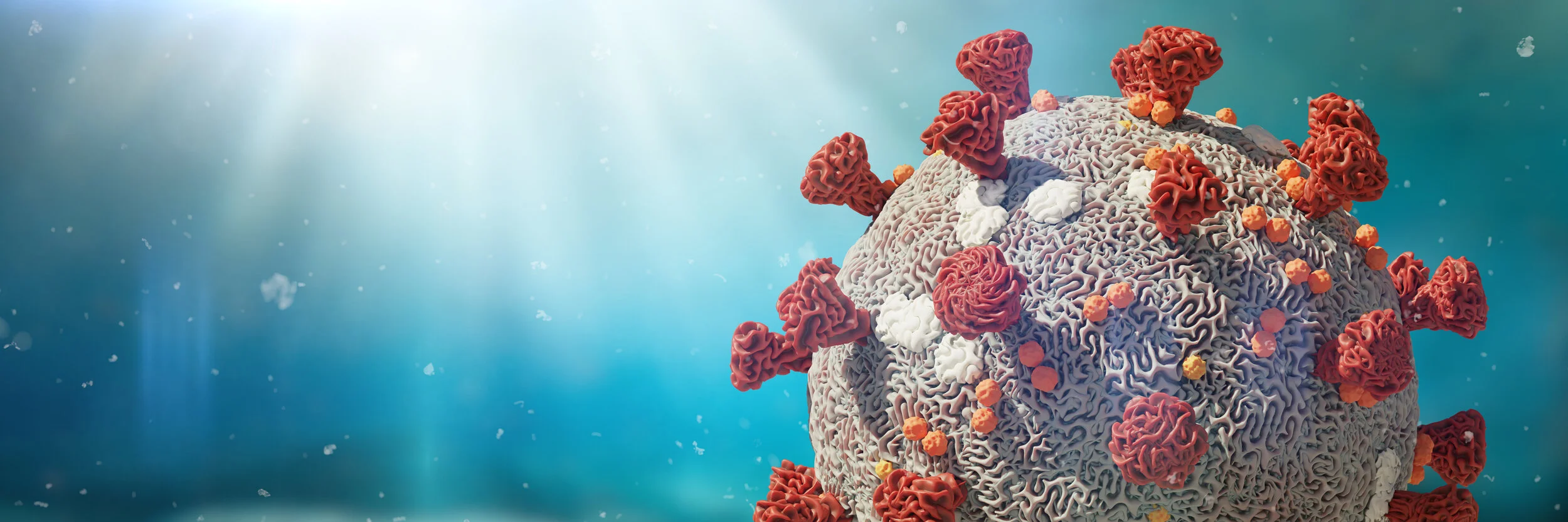 The Covid-19 Economy   Understanding the Recent Behavior in Stock & Political Markets  by Paul Hoffmeister - Chief Economist, Camelot Portfolios 
 
    
 Camelot Commentaries RSS 
         
 
   Covid-19 Shut