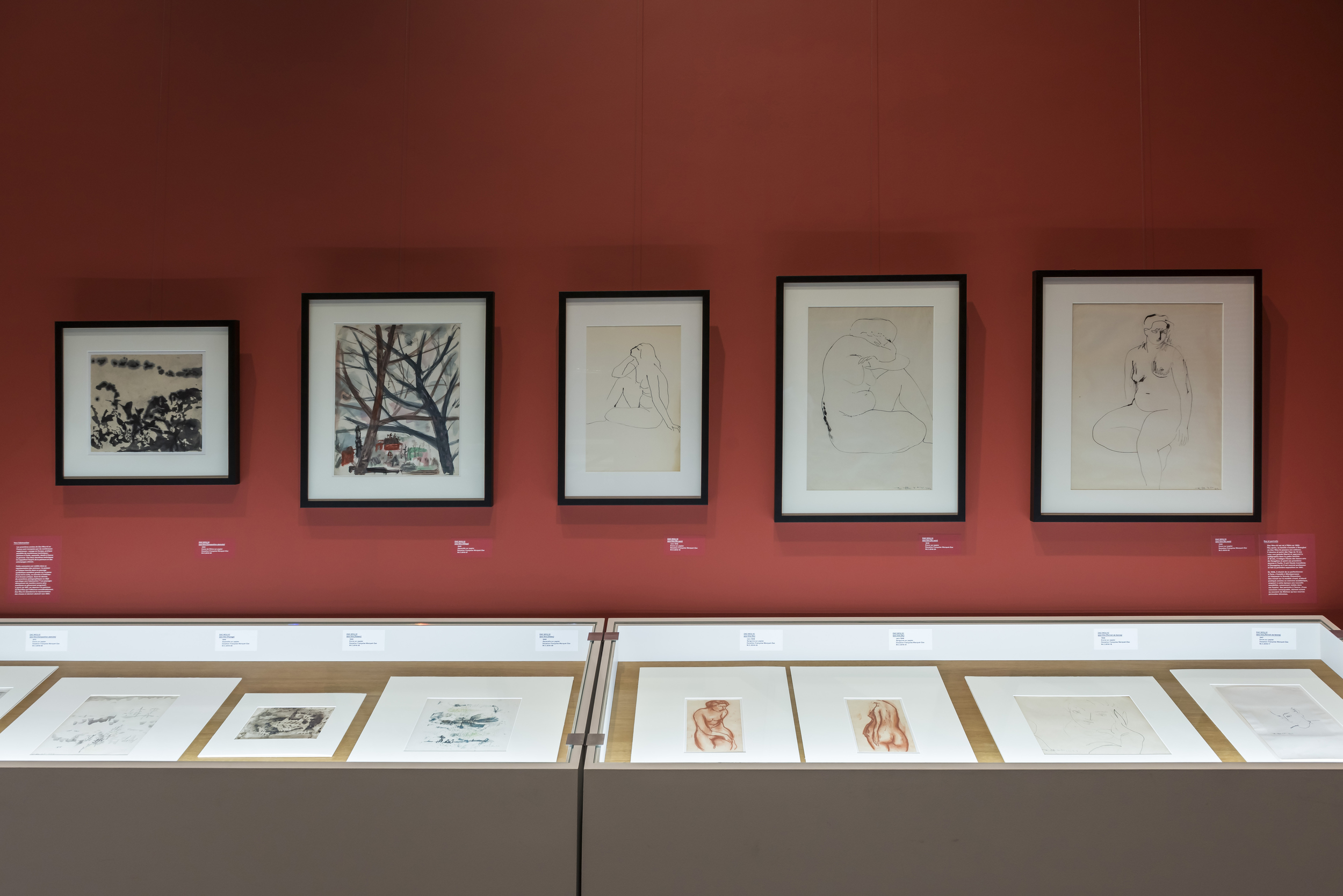 Donation Cernuschi. Zao Wou-Ki 01 (photo Christiophe Fouin)