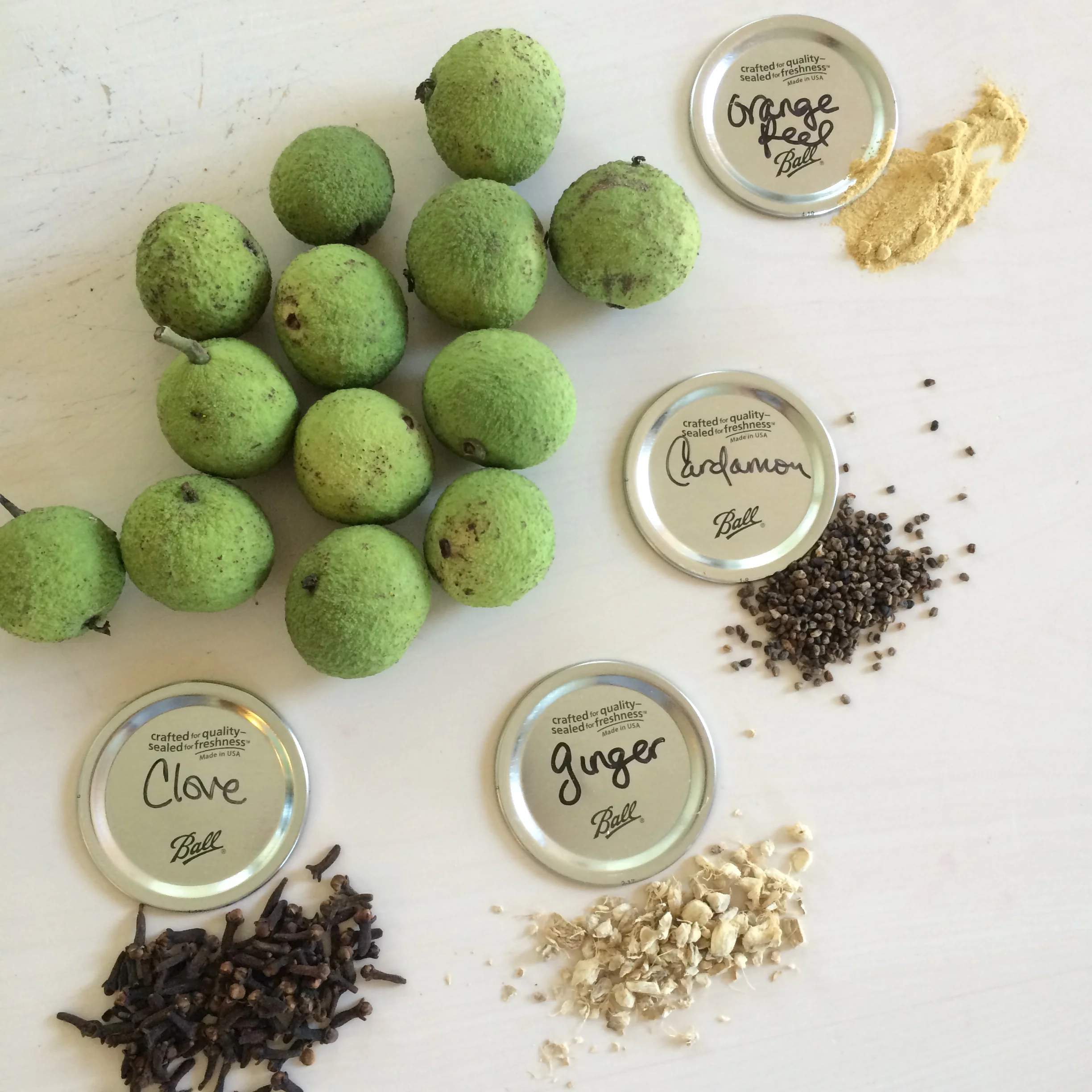 Warming Herbs For The Winter