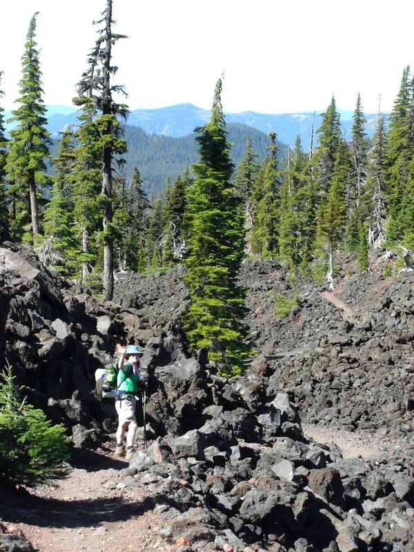 Discovering The Beauty Of The Pacific Northwest