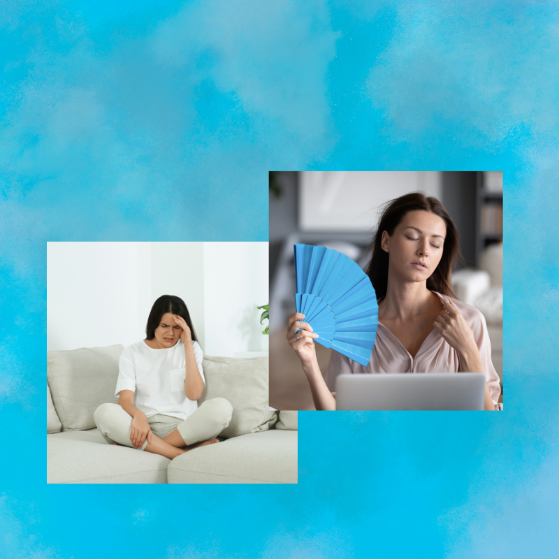 A Beginner's Guide to Understanding Hormones in Women