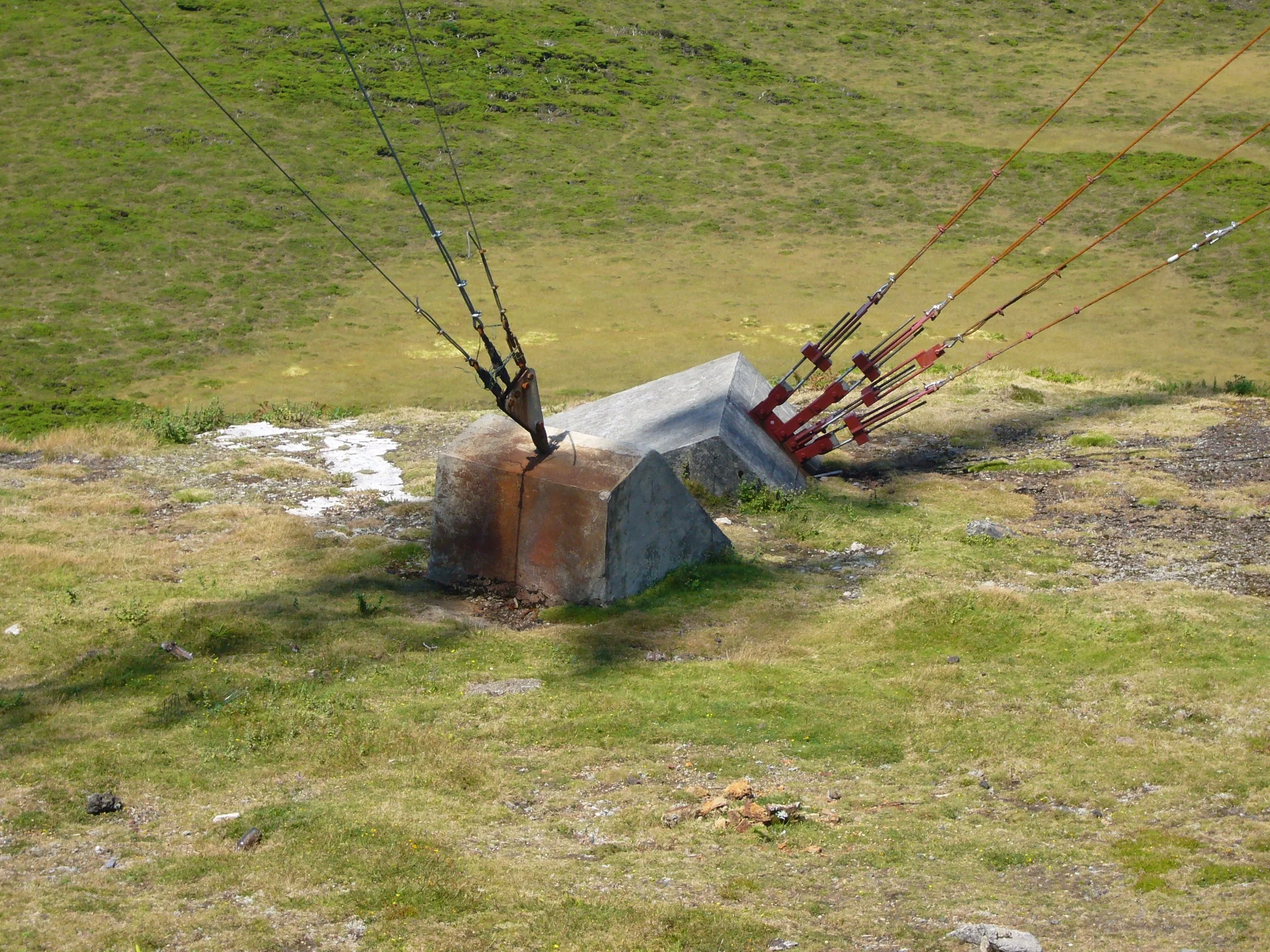 P1050264.JPG