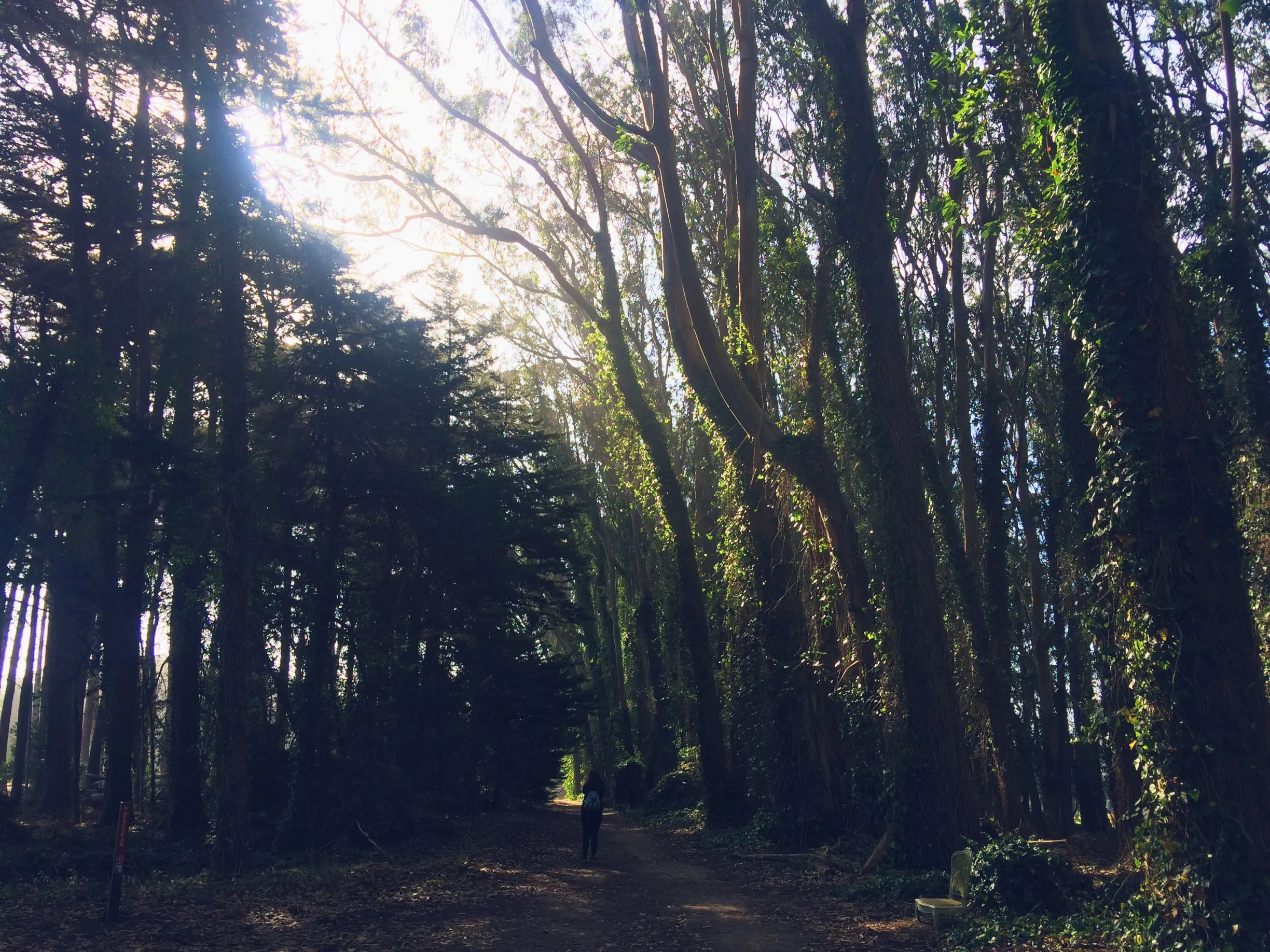 VSCO Cam-5.jpg