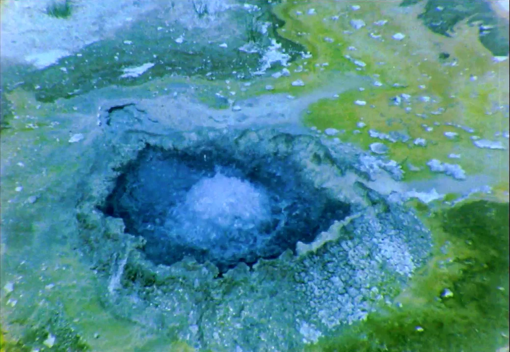 Song of Nature_still1.jpg