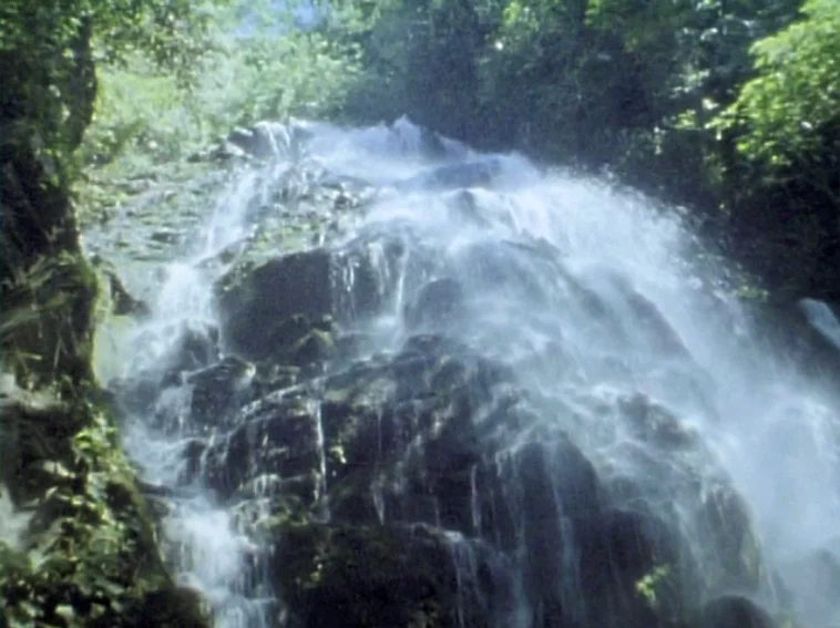 Paradise Lost_still1.jpg