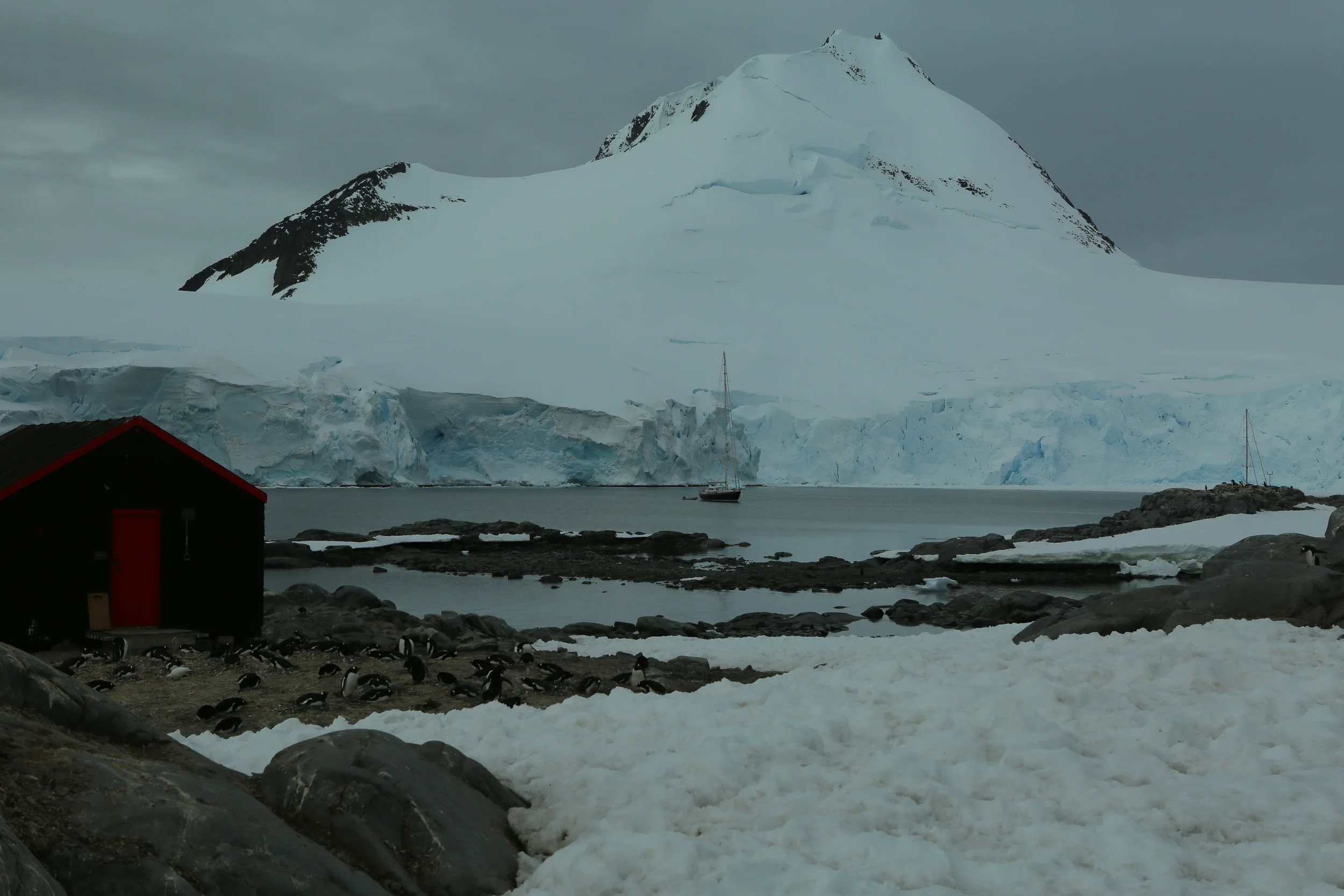 Sailing and motor yachts of all sizes visit Antarctica on expeditions