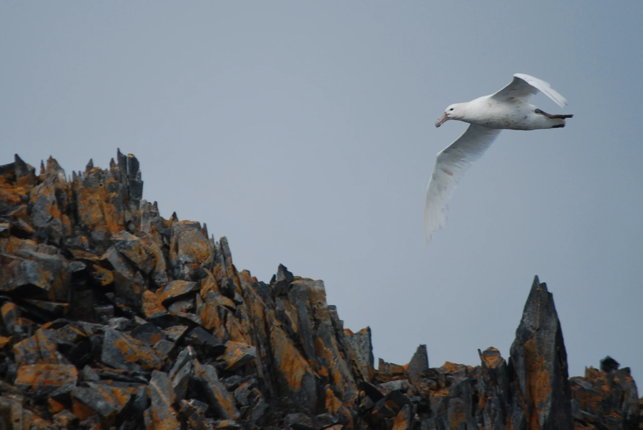 DSC_0083.JPG