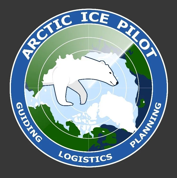 Arctic Ice Pilot starts planning for logistics and guiding operations in the Arctic for 2021