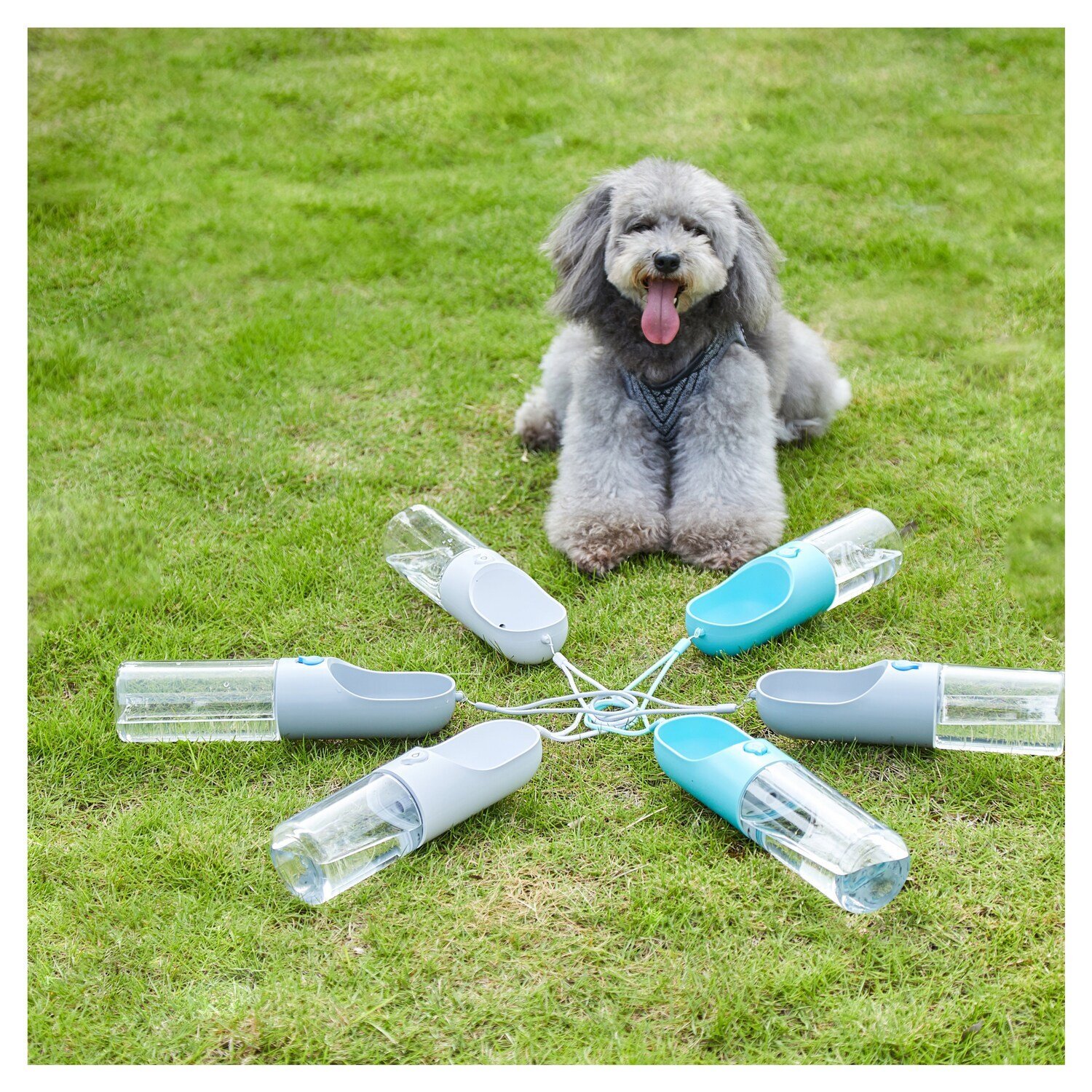 Instachew PETKIT Gen 2 Eversweet Smart Travel
PlayMaker Network