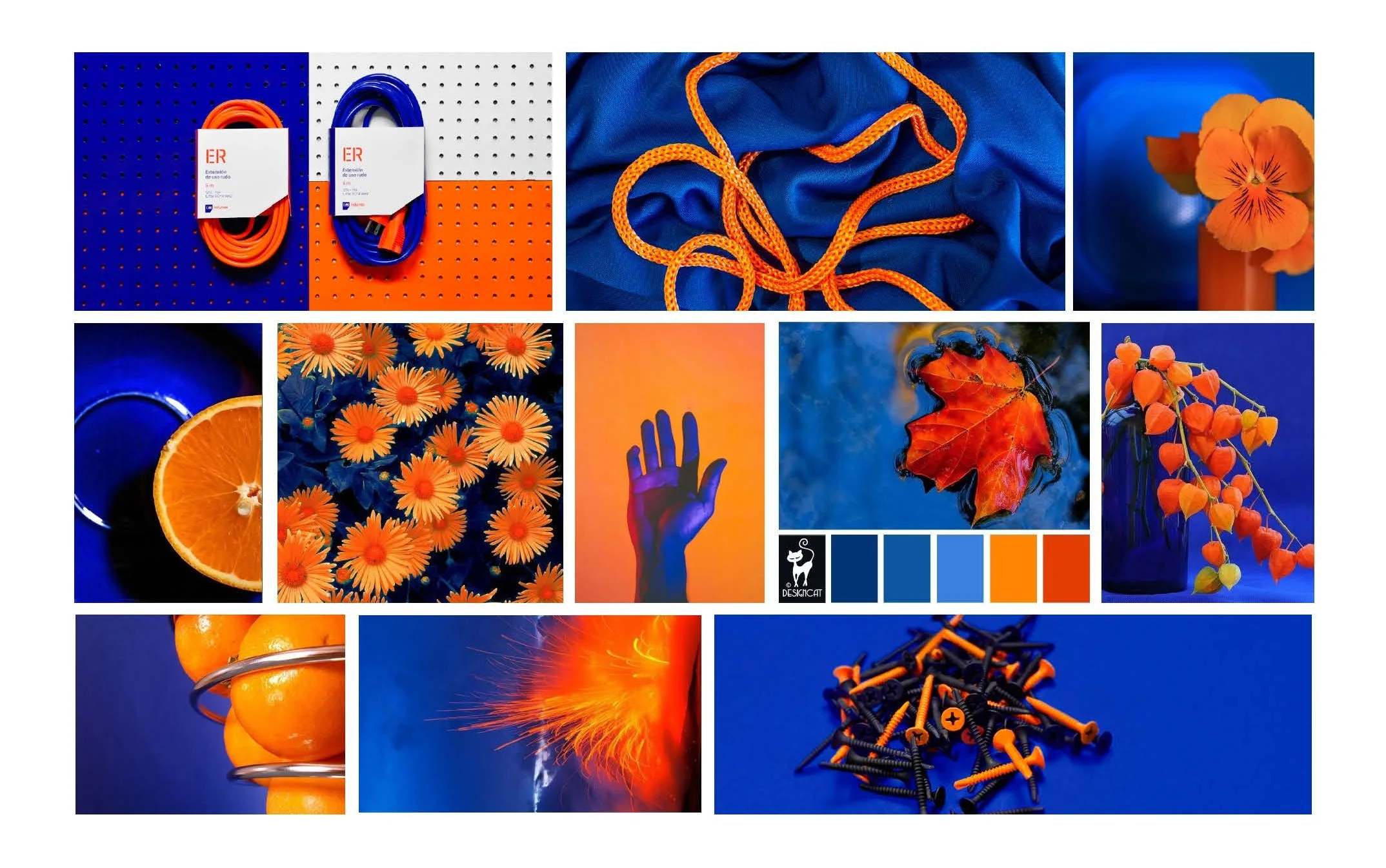 Trigon Branding_Page_5.jpg