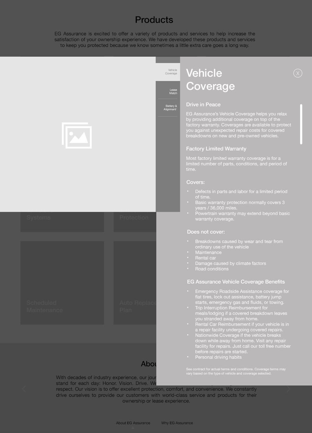 EG Assurance_v5Artboard 3 cripped.jpg