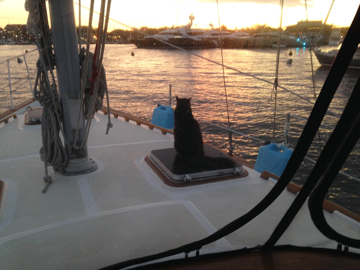 Everybody loves a sunset.