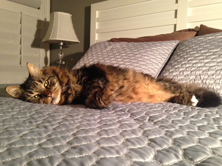 Put the camera down and feed me.