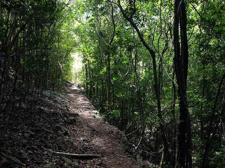 Reef Bay trail, St. John, USVI