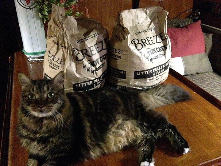 Oh, and cat litter; lots and lots of cat litter.