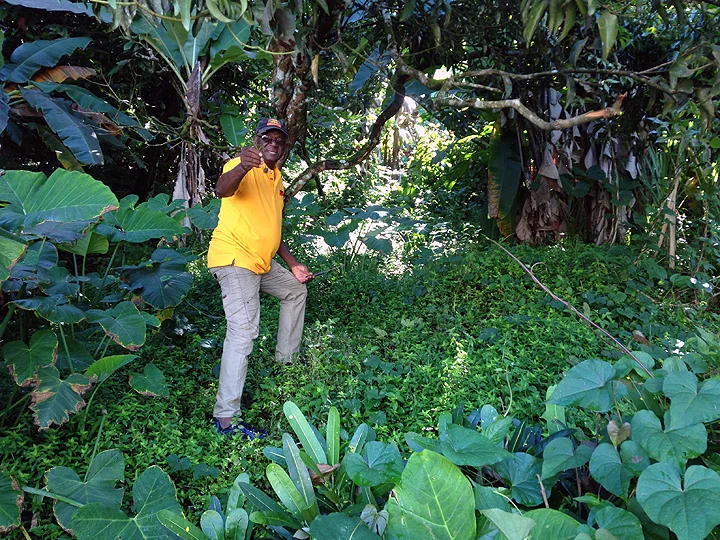 Cutty, in his element