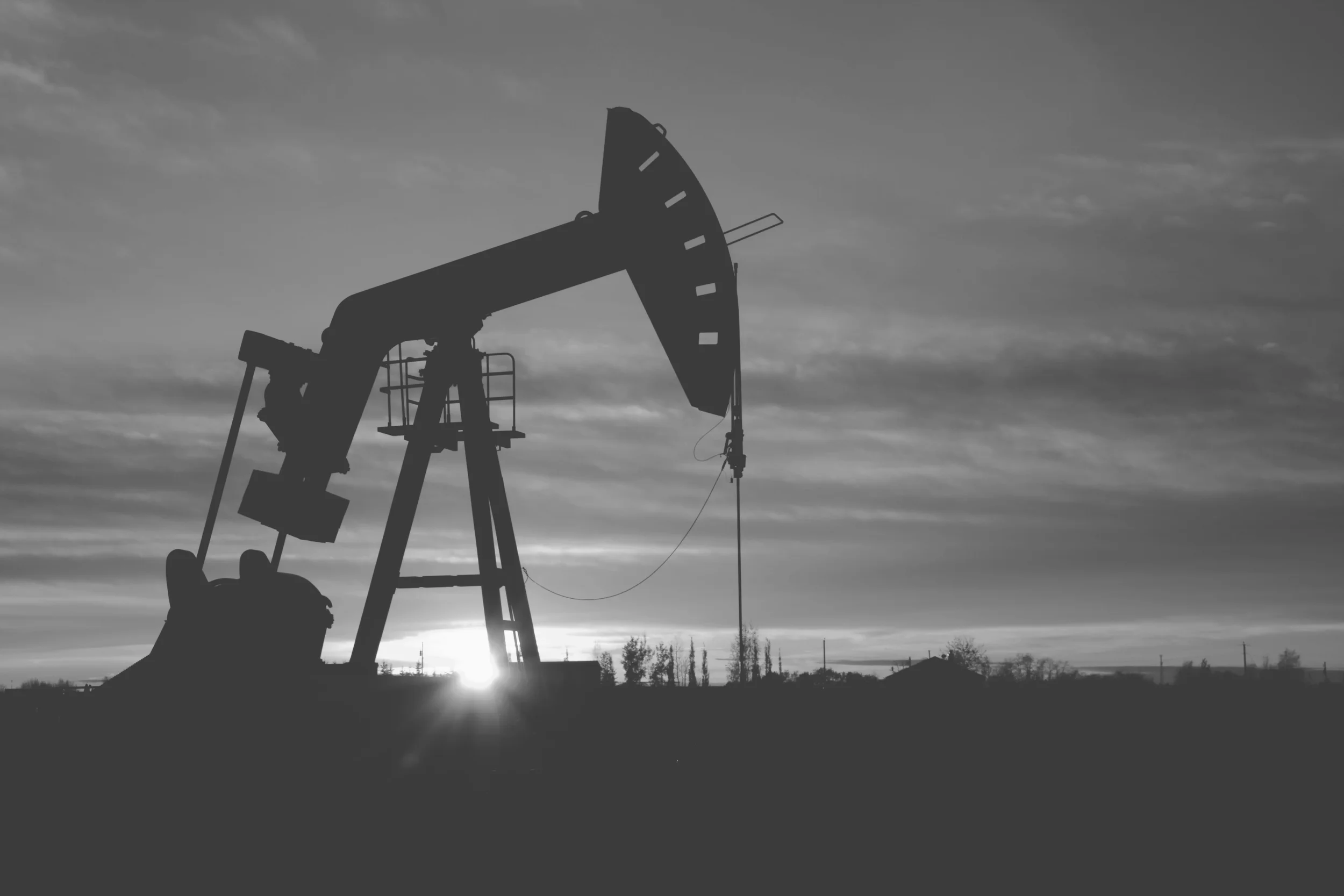 iStock_000008058083_Large copy.jpg