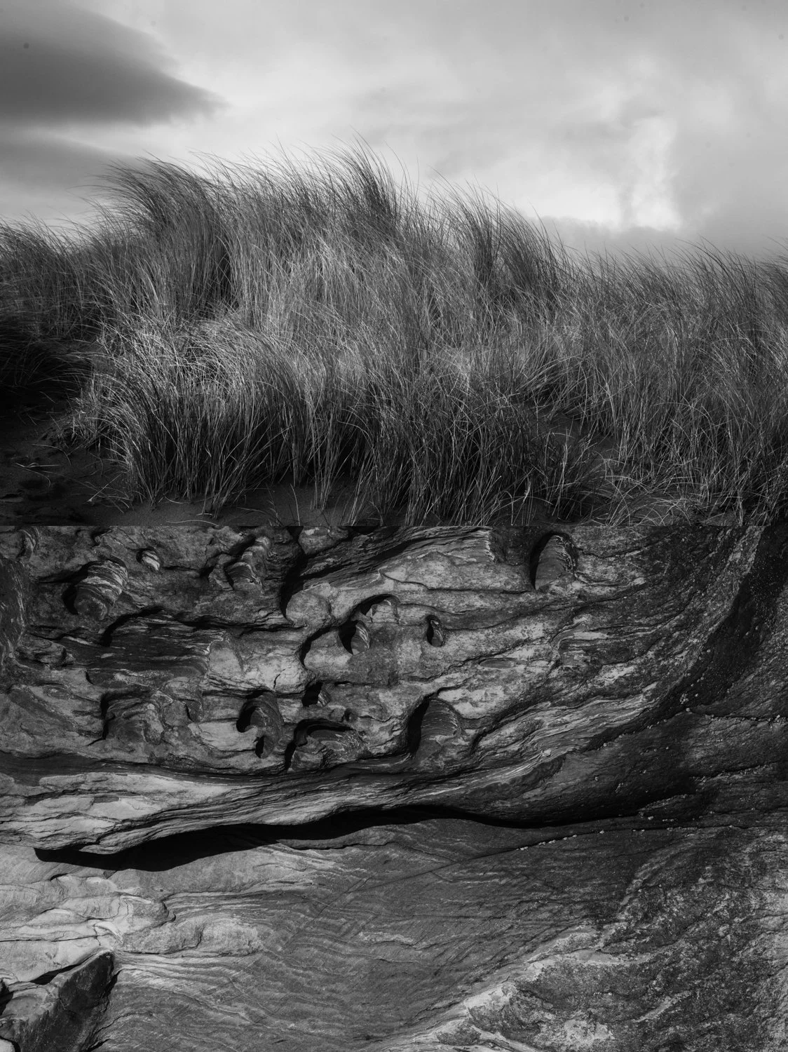 _DSC0150 diptych 2.jpg