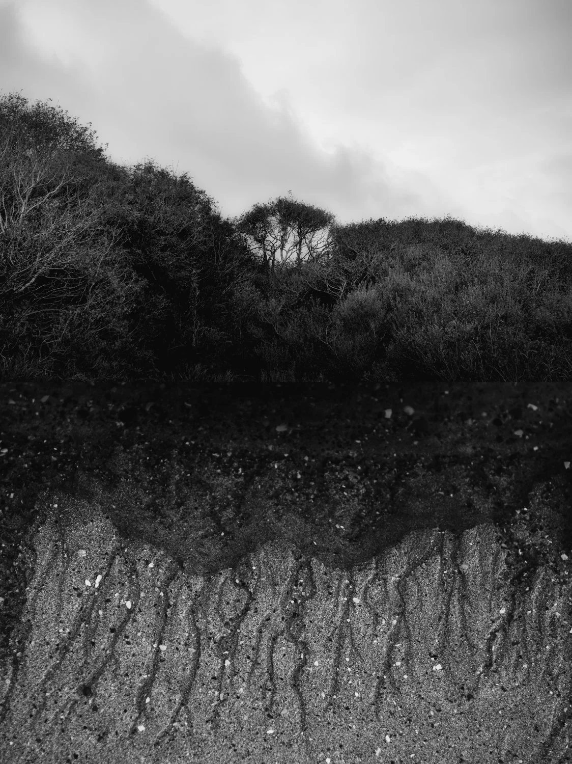 _DSC0277 diptych.jpg