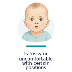 fussy_with_positions_with_text_250x250_transparent.png