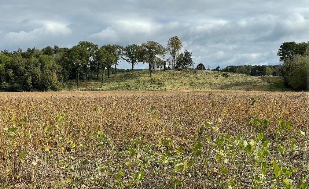 Screenshot_40.jpg