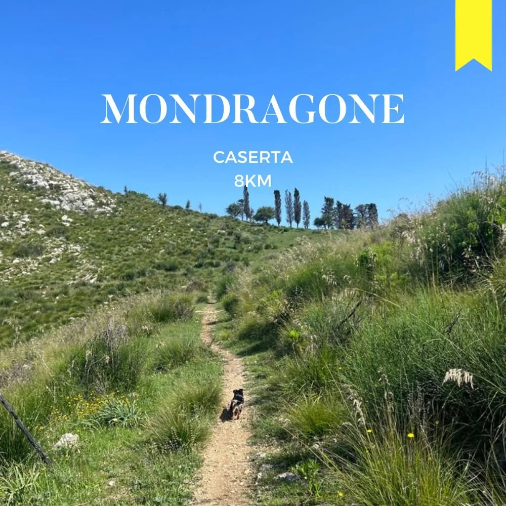 MONDRAGONE