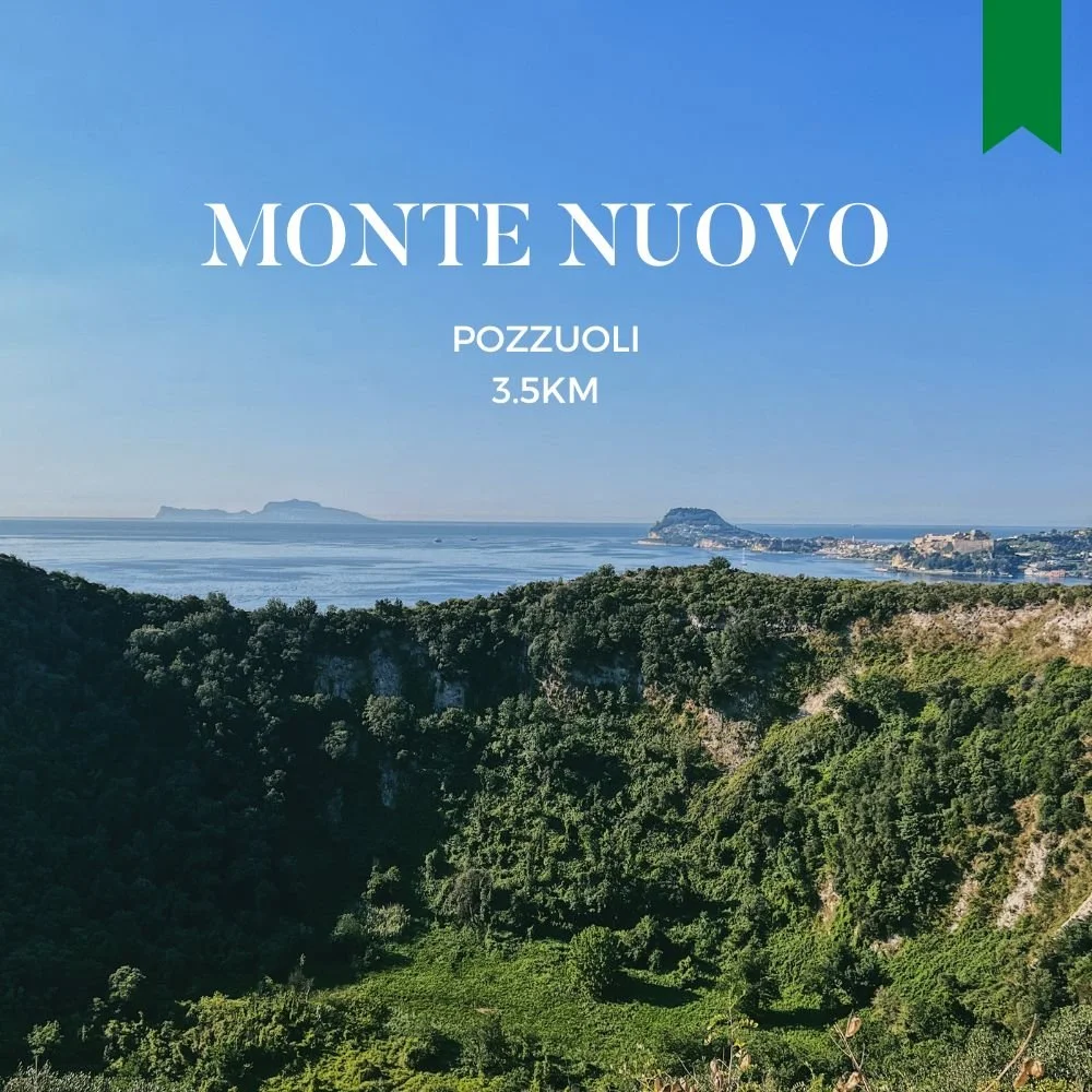 MONTE NUOVO