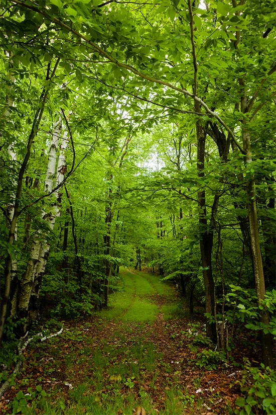 Image by Chesapeake Bay Program.