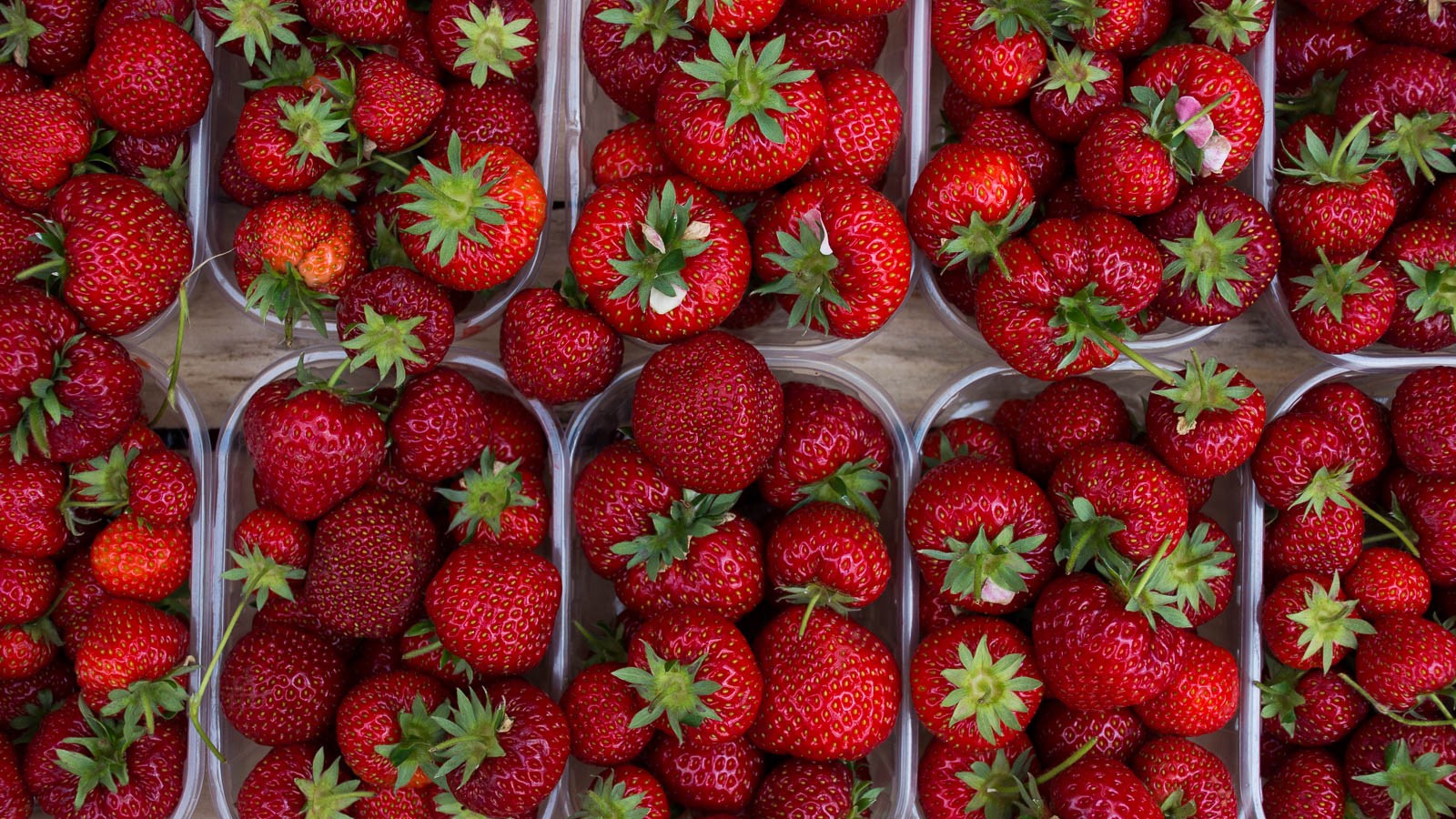 Terracina strawberries in the Campo de Fiori, Rome