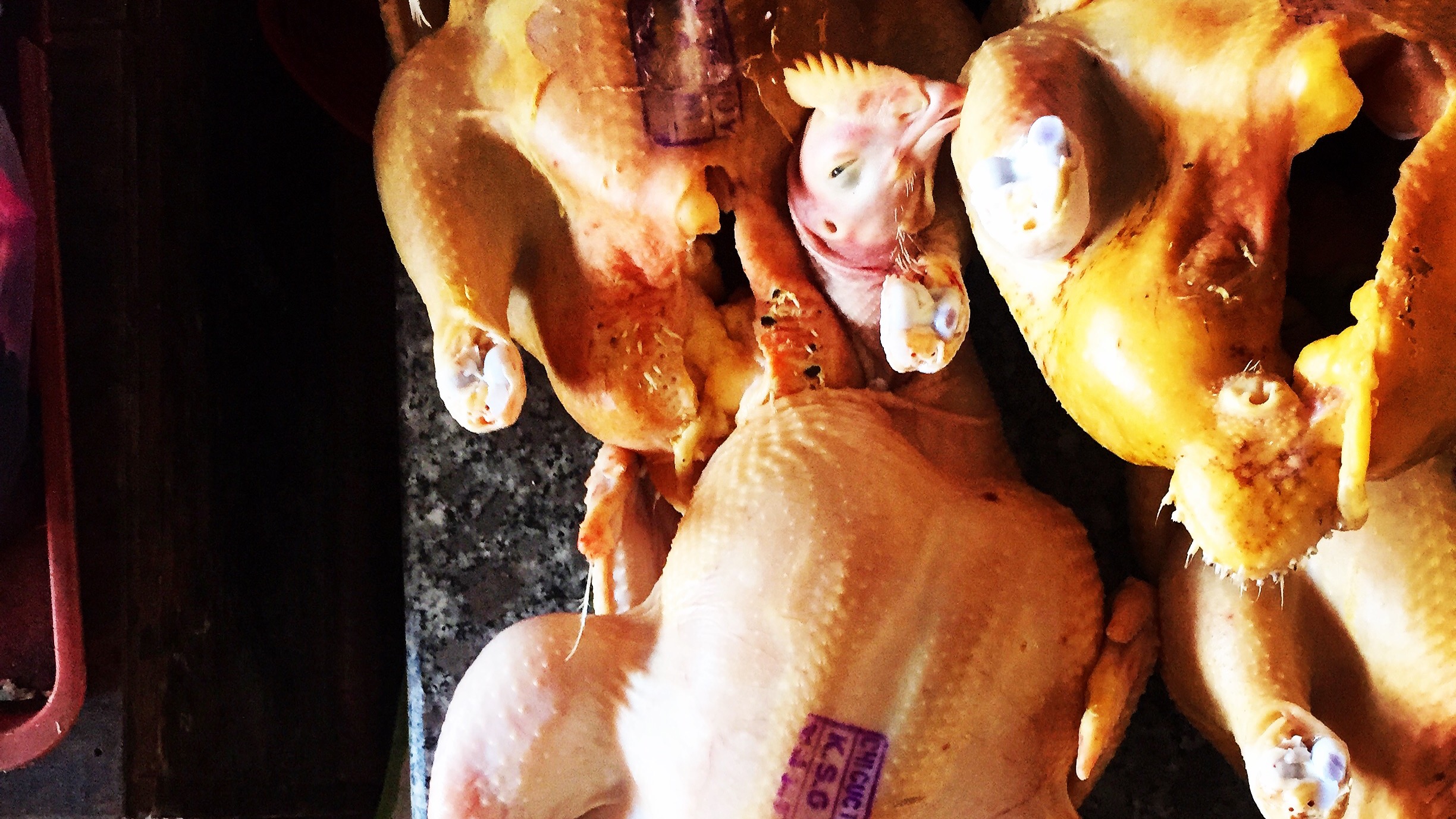 Image of rice and corn fed, free-range chickens at the Hoi An Central Market, Vietnam 2015