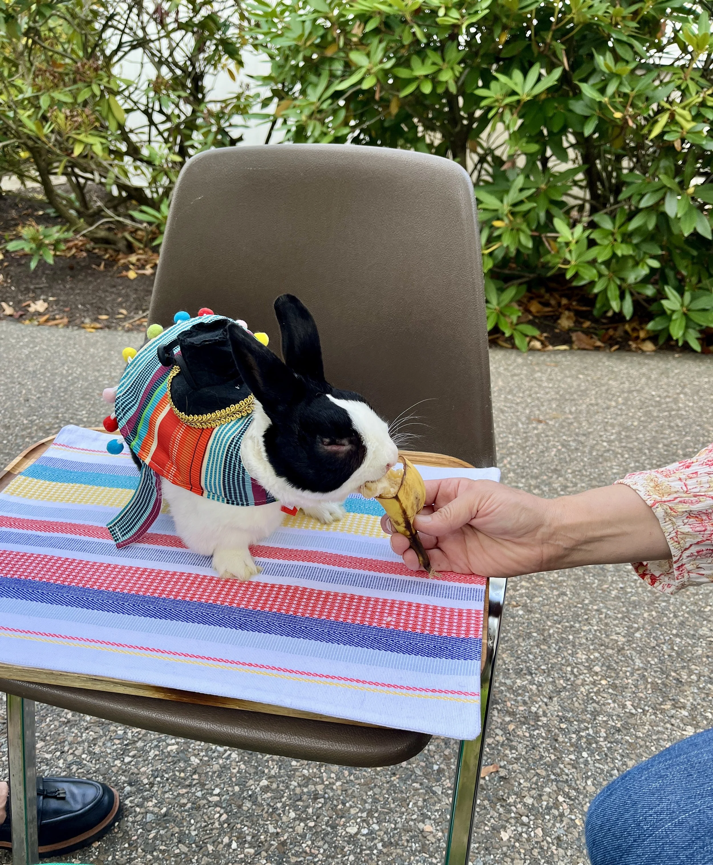 Pet Blessing 2025 13.jpg