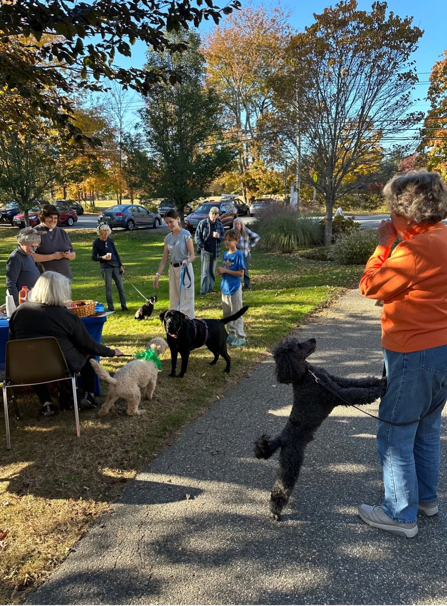 Pet blessing 2024.jpg
