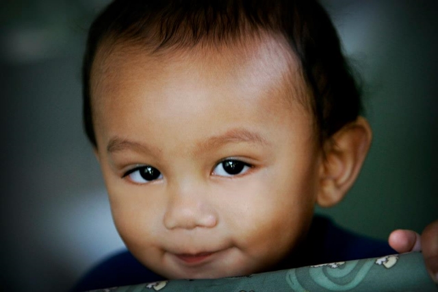 Hunter Zen, 6 months old. / Photo Courtesy Lenore Davis