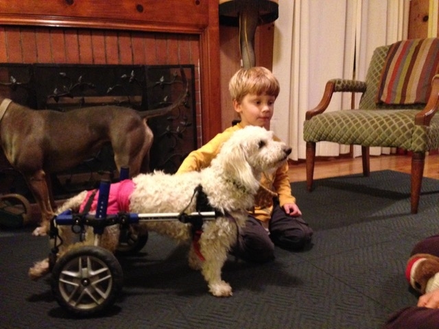 Spanky / Photo Courtesy Sherri Franklin