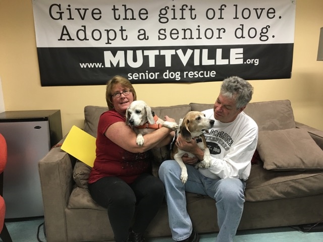 Muttville Volunteers / Photo Courtesy Sherri Franklin
