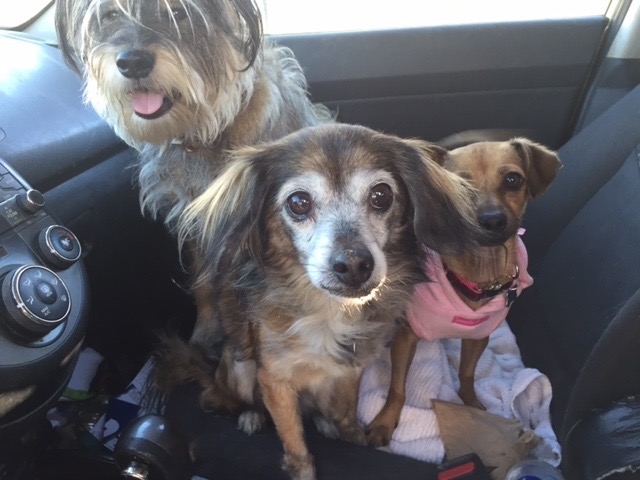 Sweet Seniors / Photo Courtesy Sherri Franklin
