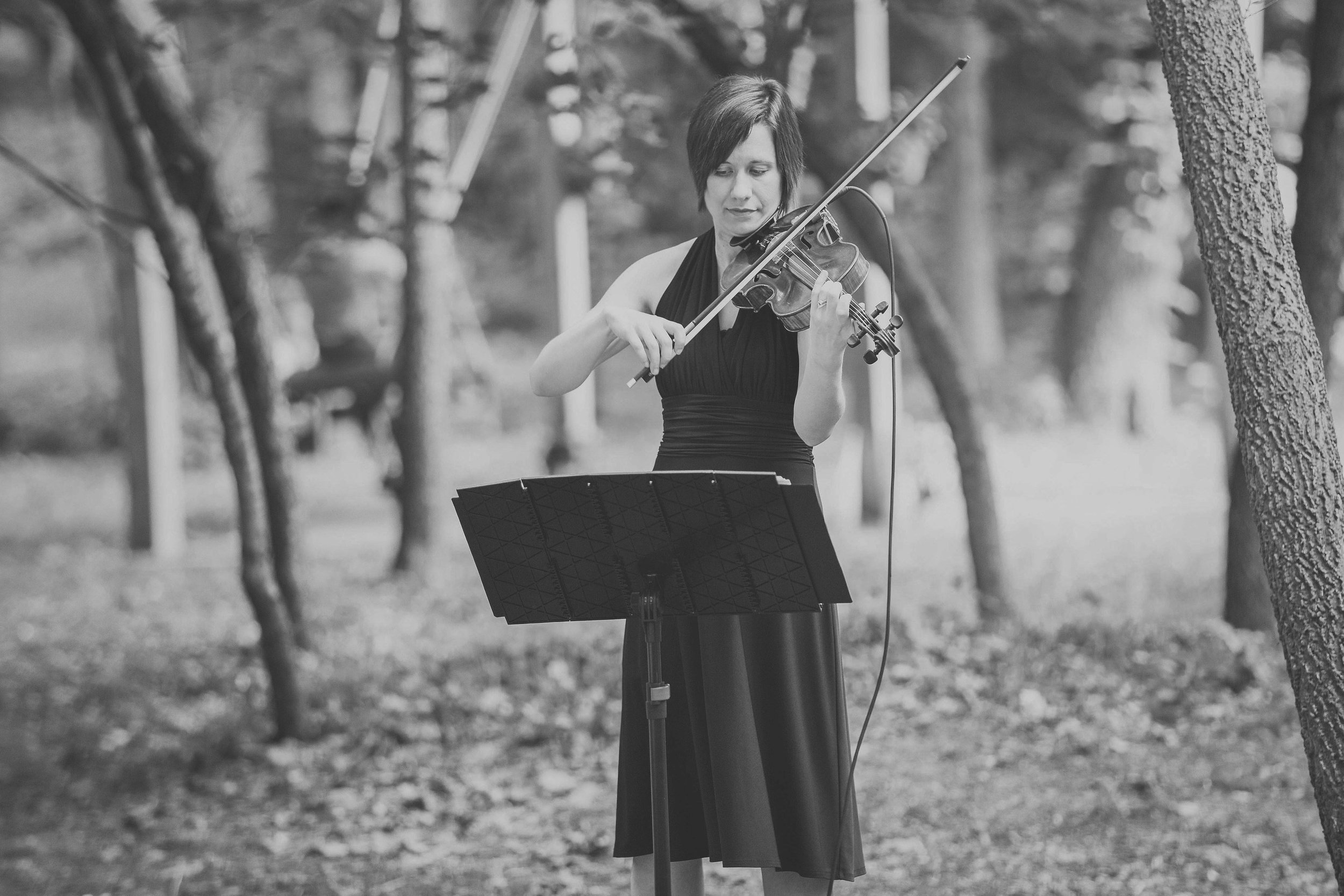 FRETLESS SOLO