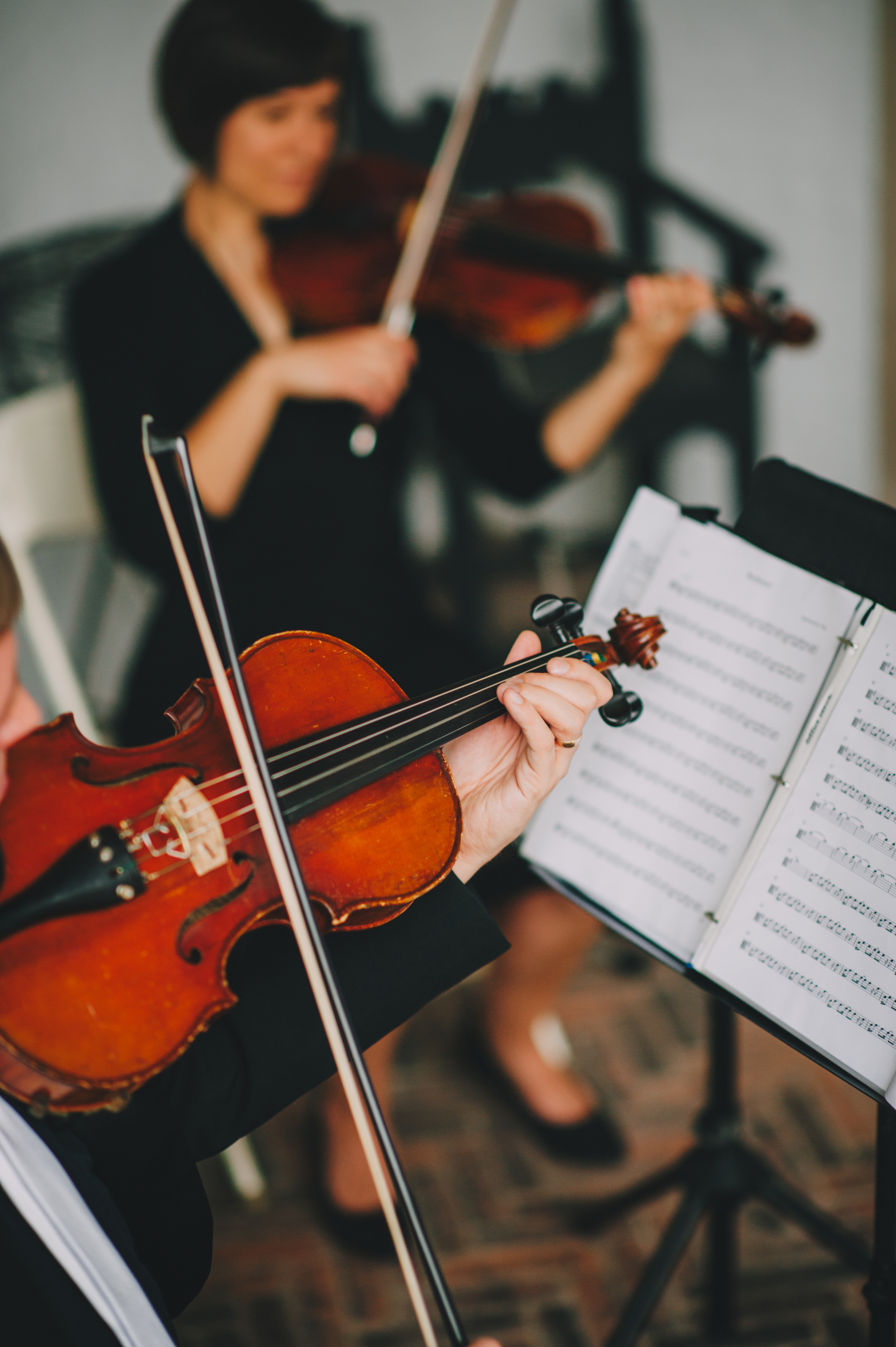Fretless Trio
