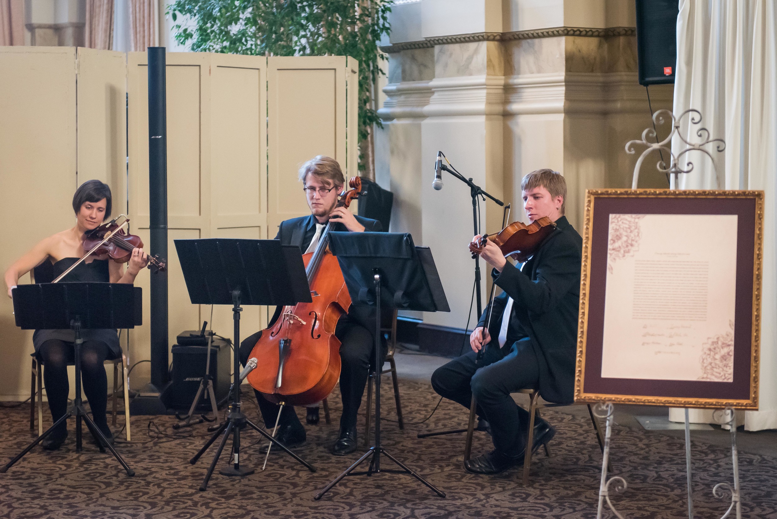 Fretless Trio