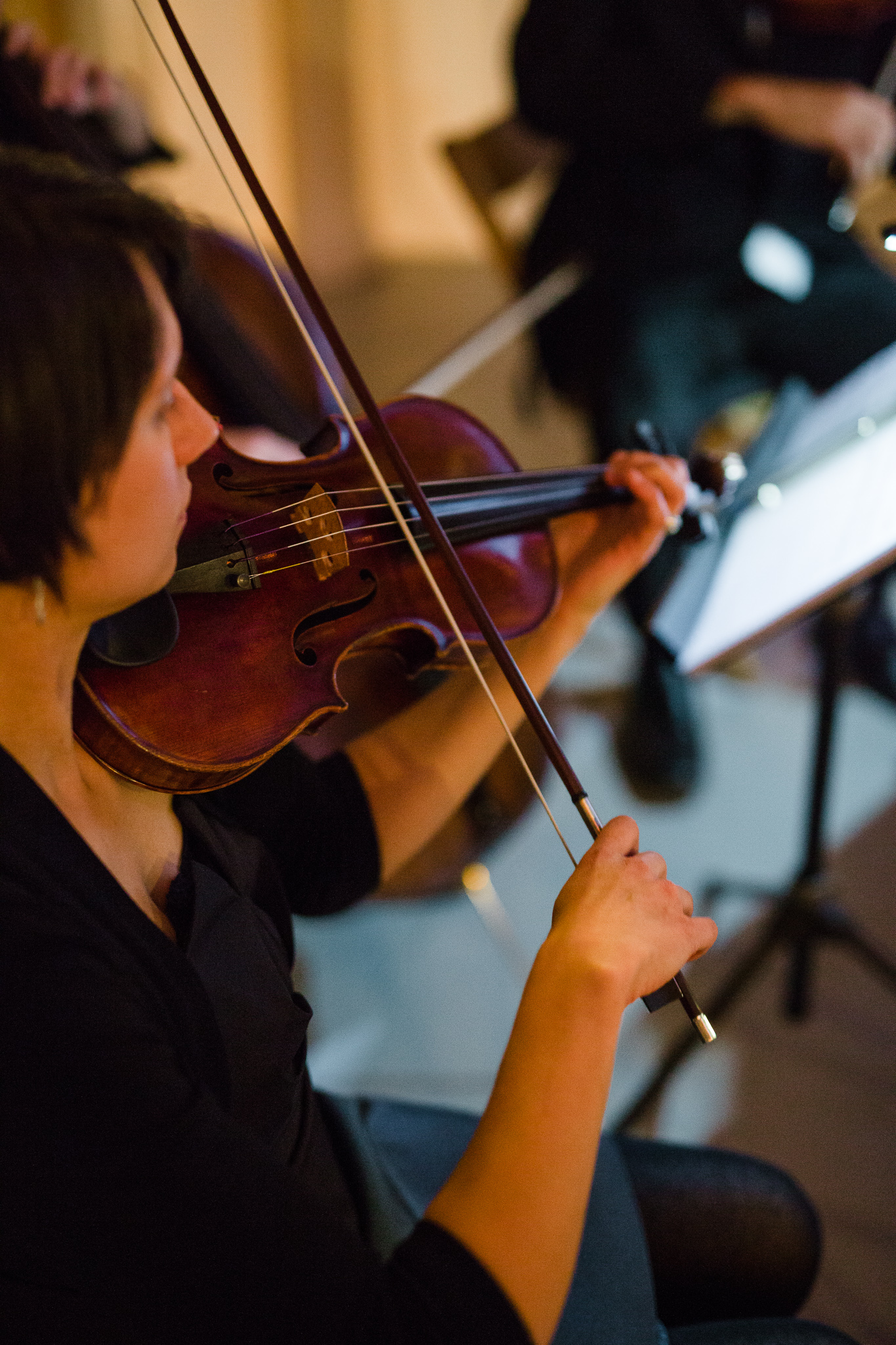 Fretless Trio