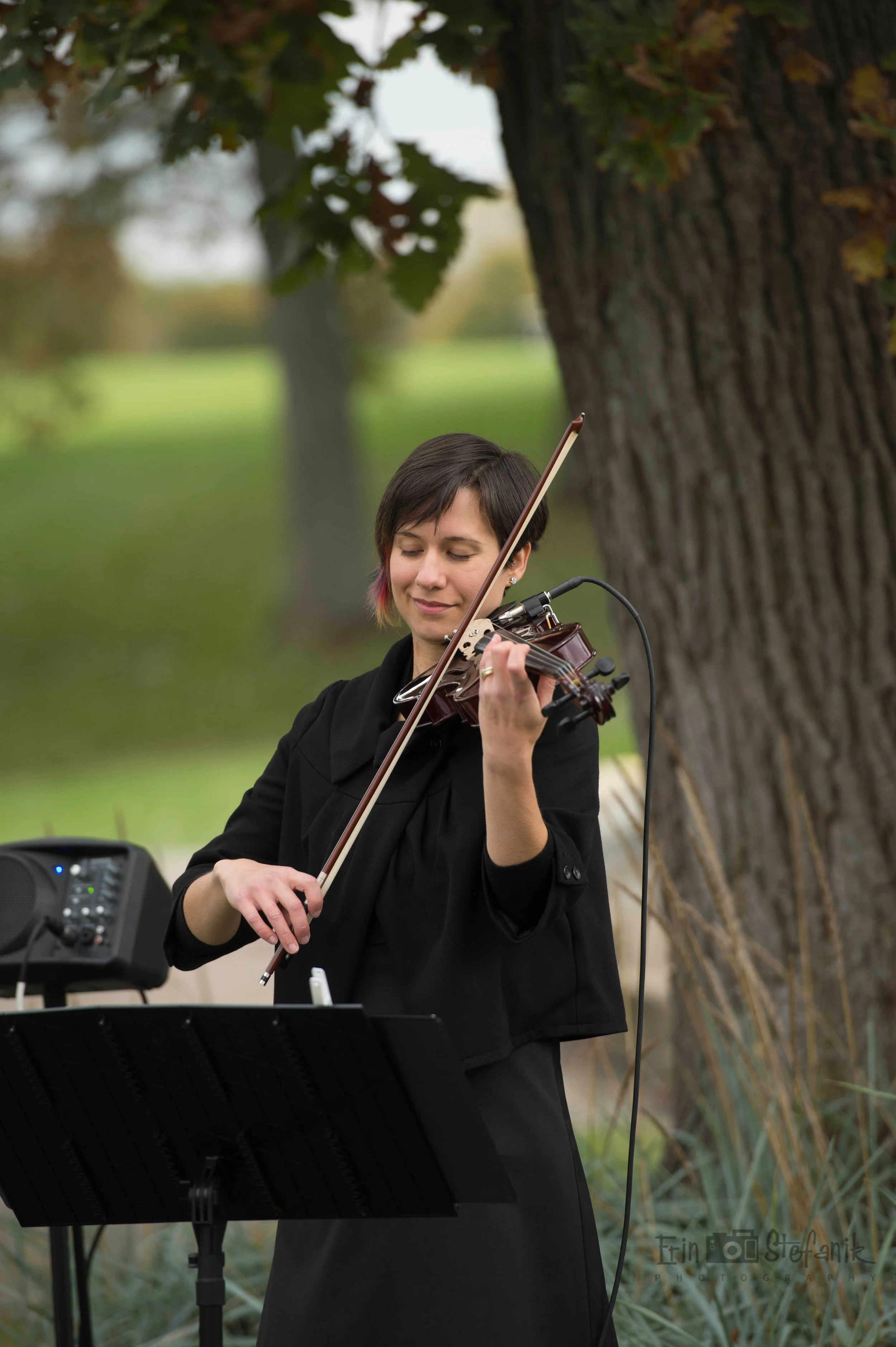 Fretless Solo Violin