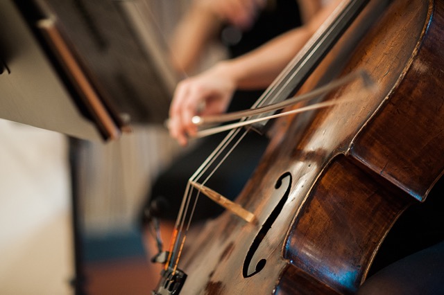 Fretless Duo