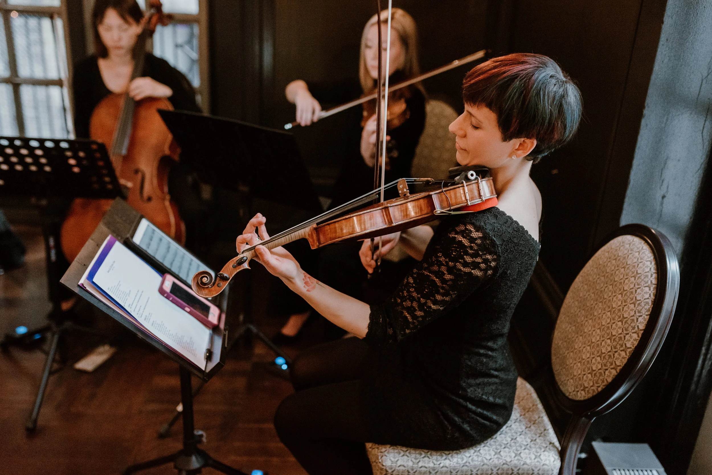 Fretless Quartet