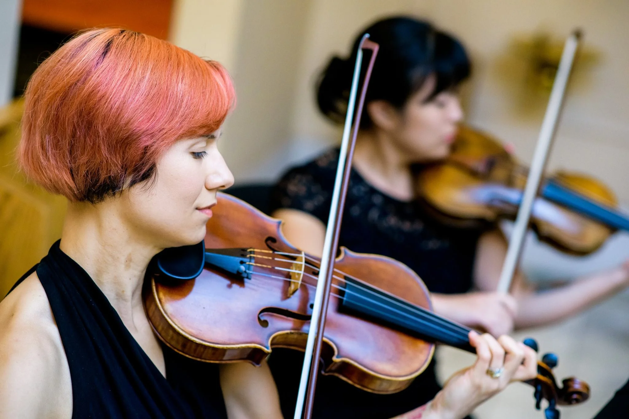Fretless Strings Quartet
