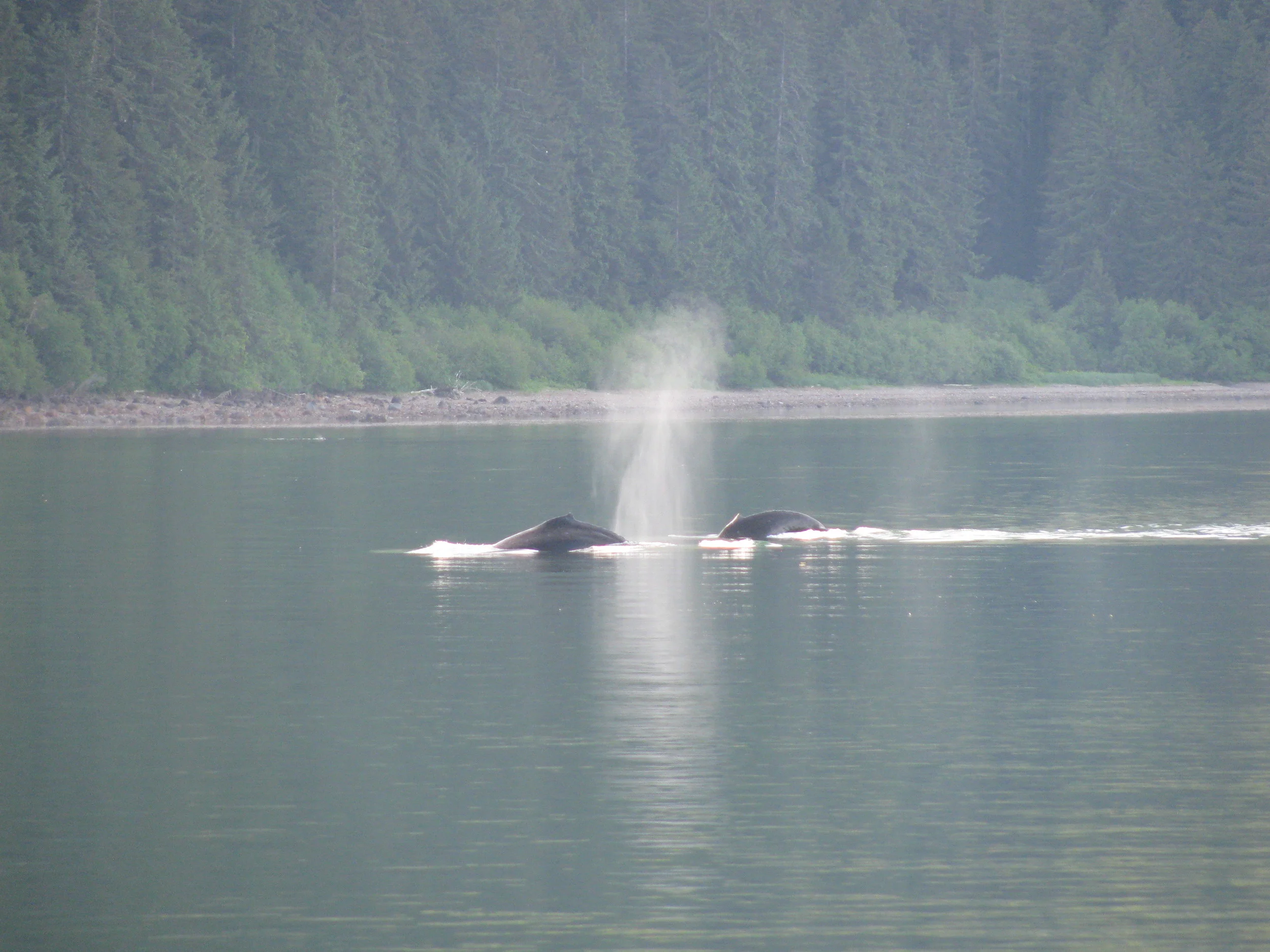 Pt Adolphus (19).JPG