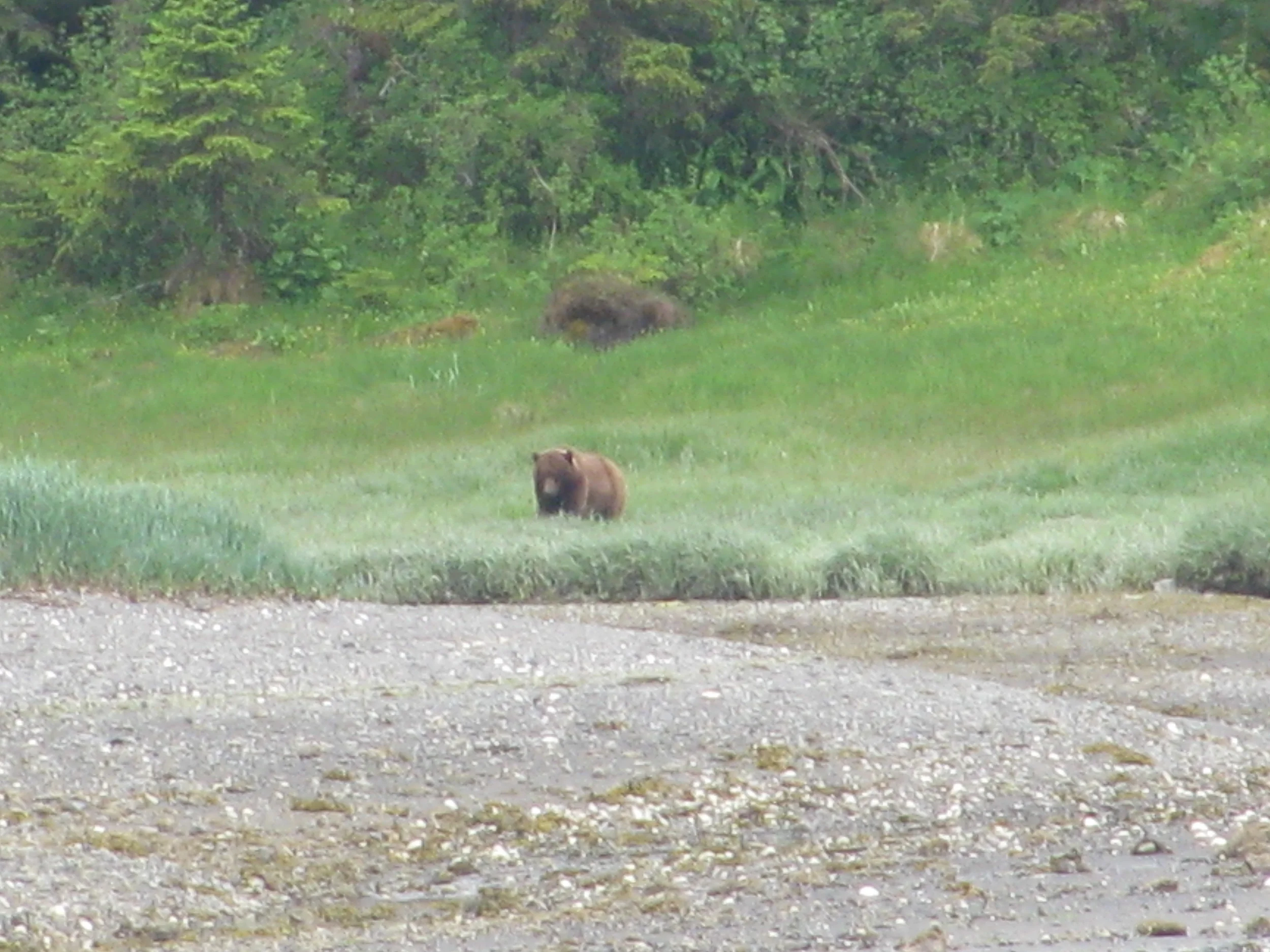 Sergius to Magoun (17).JPG