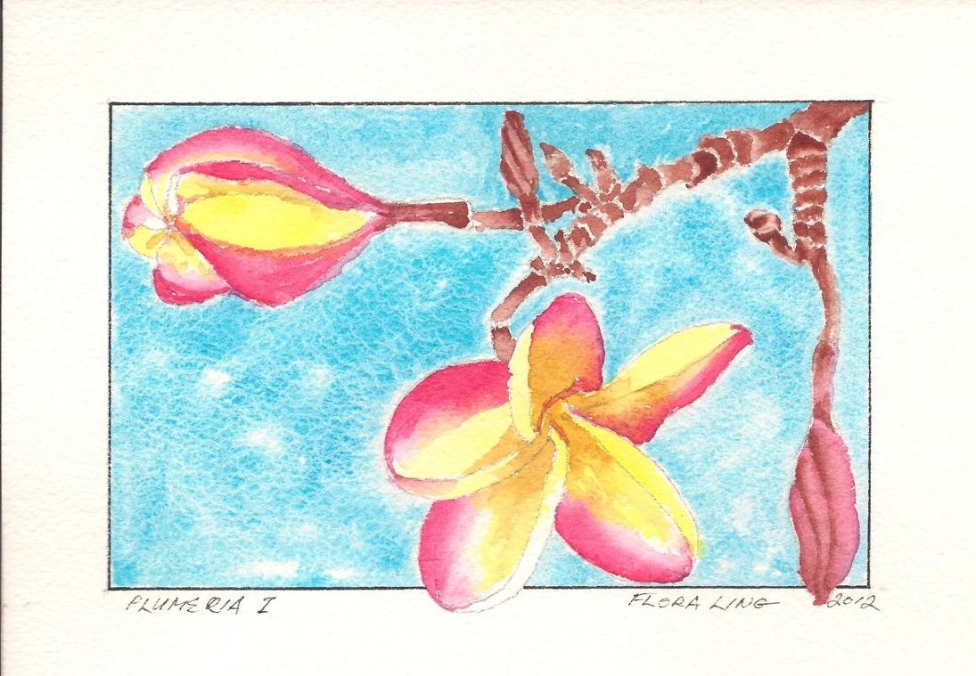 Plumeria II 2012.jpeg