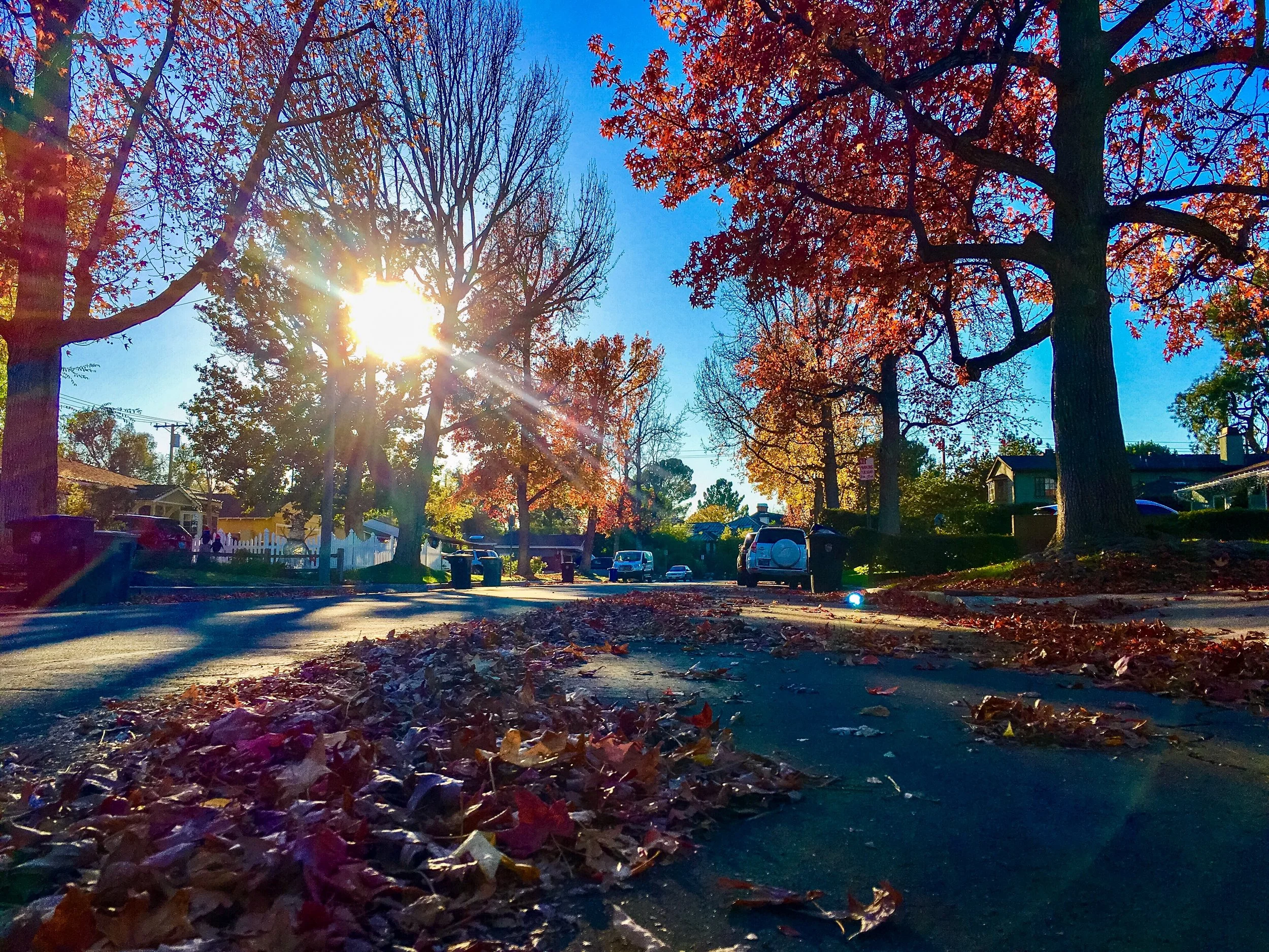 autumn.jpg