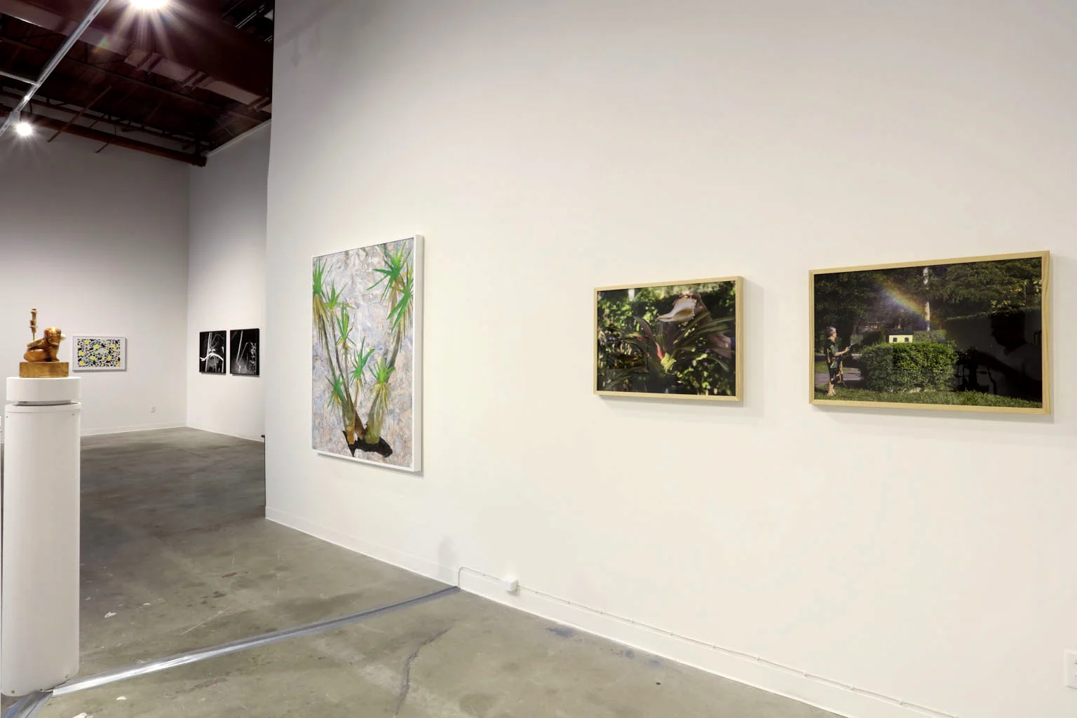 Installation view at MASS gallery, Austin, TX
