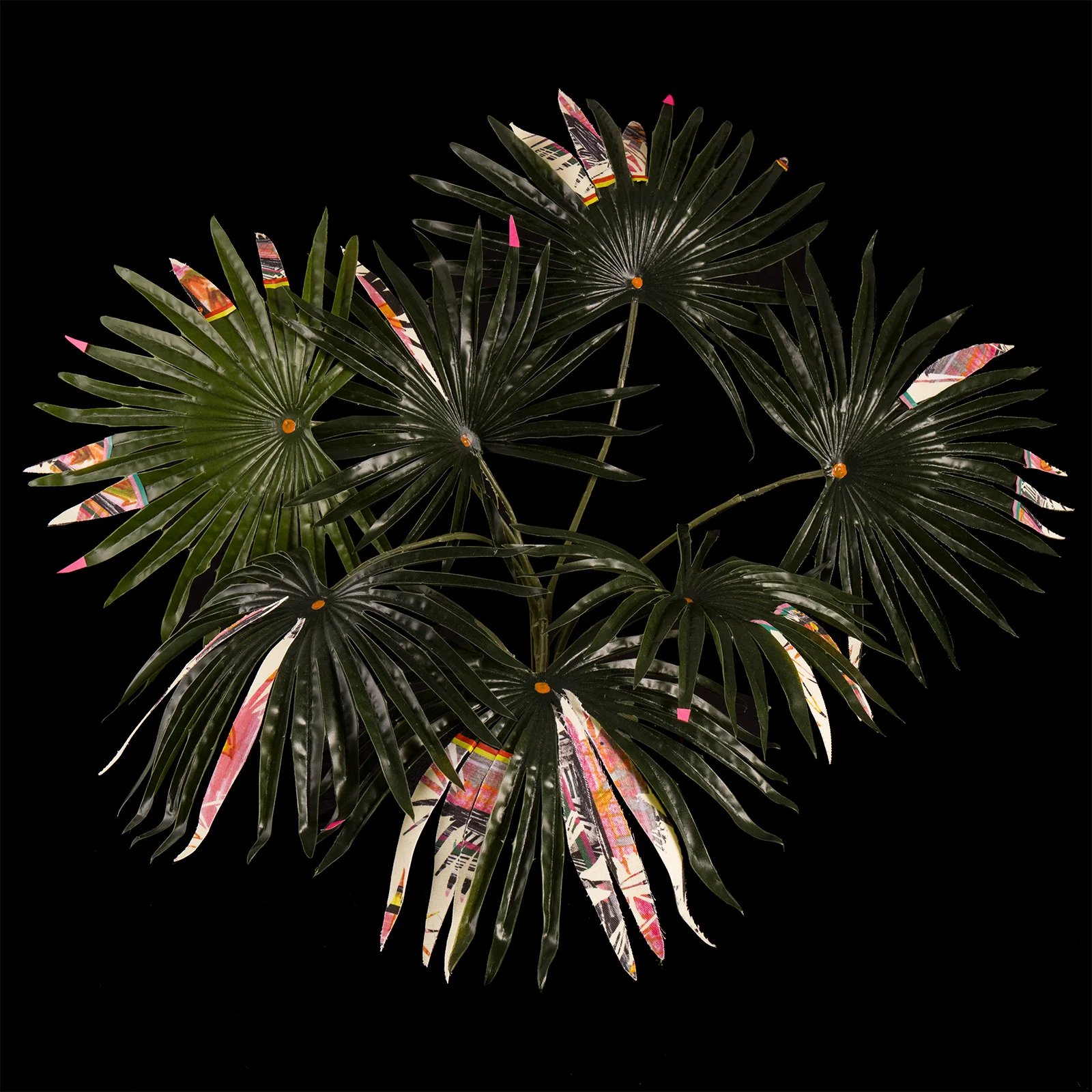 PalmettosInMatriarchRegalia.jpg